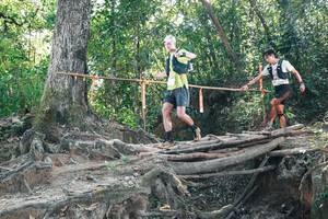 BIB: 
                            <button type="button" onclick="openModal(27743747)" class="btn btn-primary btn-sm float-right btn-popup" data-toggle="modal" data-target=".modal-high-quality">
                        <i class="fas fa-shopping-cart"></i> Add to Cart
                    </button>
                                            <button type="button" onclick="isThisMe(27743747, true)" class="btn btn-success btn-sm float-right btn-popup btn-isme hidden" data-toggle="tooltip" data-placement="bottom" title="นี่คือรูปของคุณใช่ไหม คลิกที่นี่เพื่อเอาเข้าอัลบั้ม">
                        <i class="fas fa-plus"></i> Add to album
                    </button>
                    <button type="button" onclick="isThisMe(27743747, false)" class="btn btn-warning btn-sm float-right btn-popup btn-isnotme hidden">
                        <i class="fas fa-ban"></i> Remove from album
                    </button>